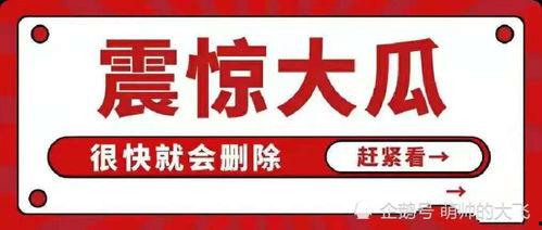 娱乐吃瓜八卦图,吃瓜图背后的惊人真相