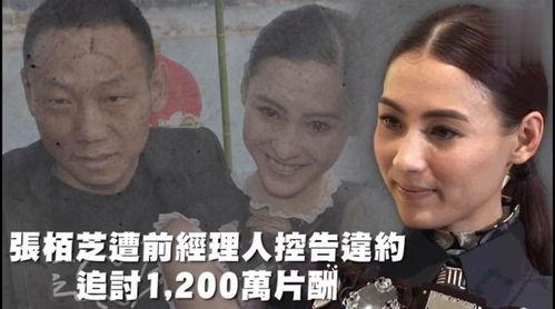 娱乐吃瓜 nga,NGA热门话题大盘点